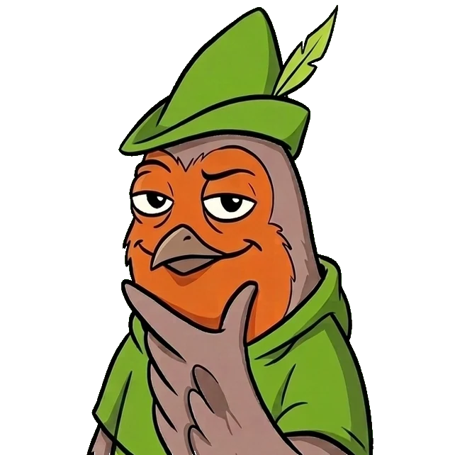 ROBI the robin in the hood